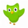 Duolingo logo